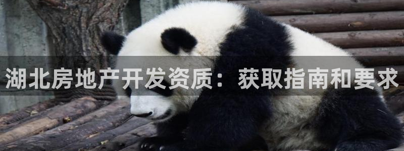 万向娱乐官网下载安装