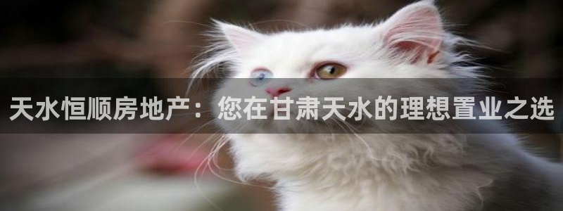 万向娱乐官网网址