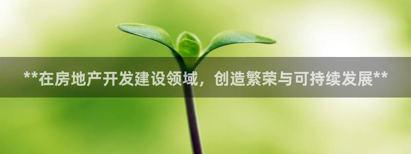 万向娱乐技术