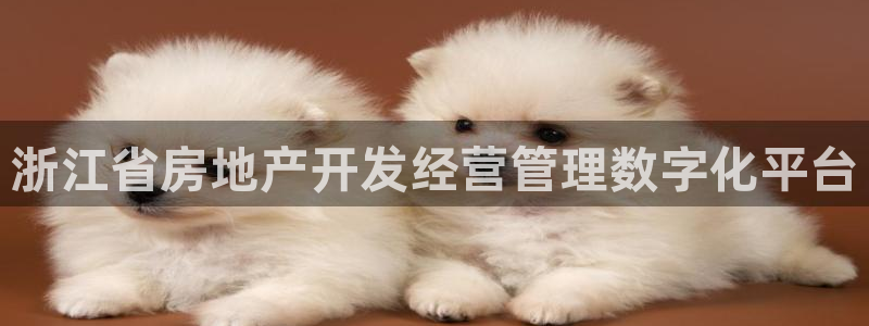 万向娱乐平台代理多少钱一年