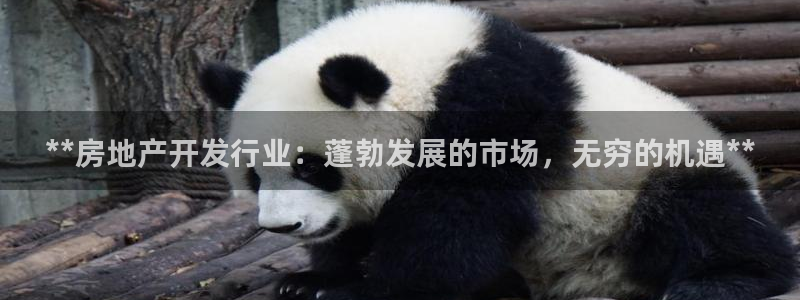 万向娱乐是野鸡台吗