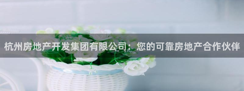 万向娱乐平台代理