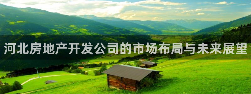 万向娱乐挂机软件