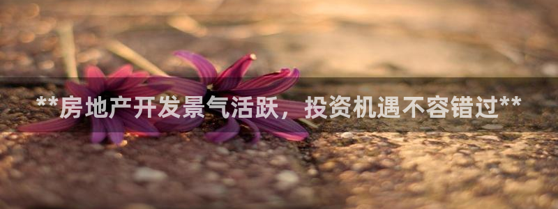 万向娱乐下载安装