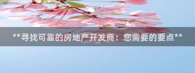 万向娱乐老板