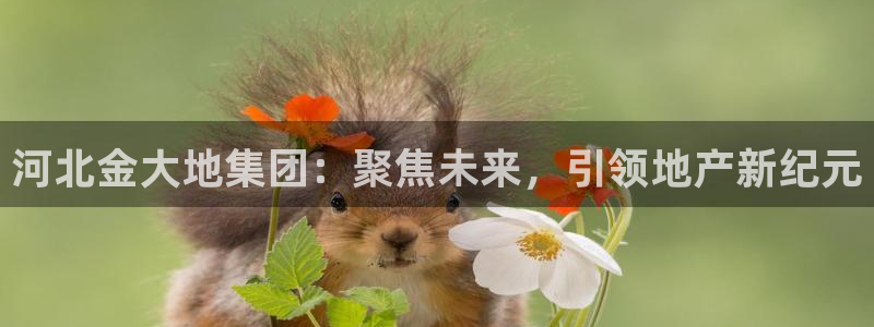 万向娱乐技术分享