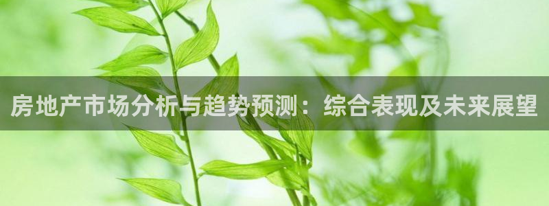 万向娱乐代理好看视频