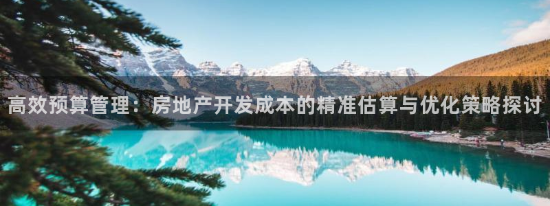 万向娱乐是野鸡台吗