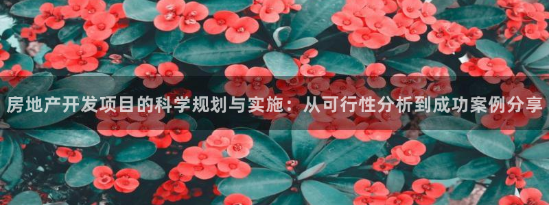 万能娱乐平台直招代理