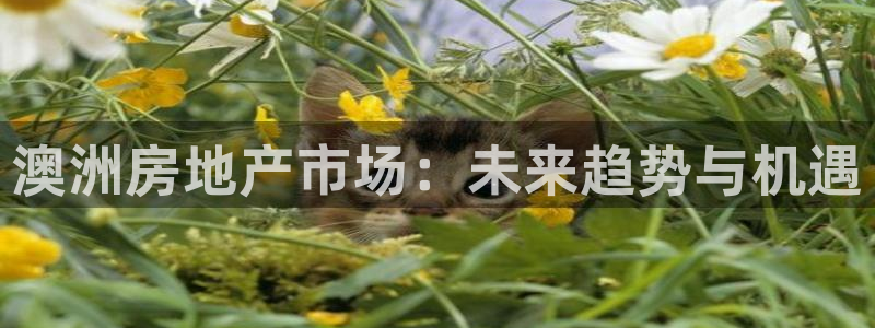 万向娱乐登陆官网下载