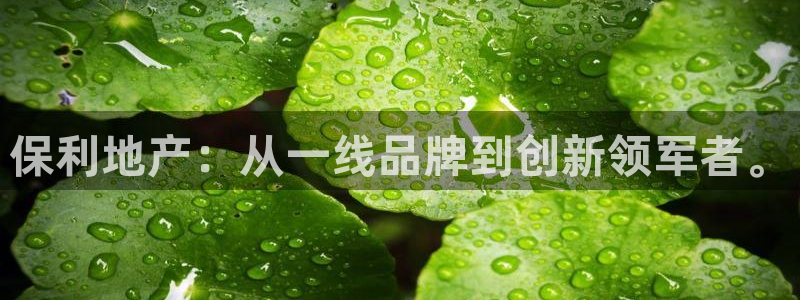 万向娱乐官网网址