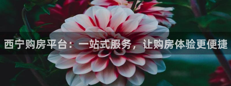 万向娱乐平台代理怎么样赚钱