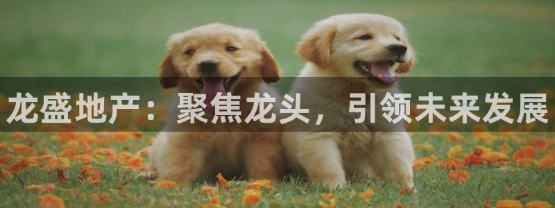 万向娱乐的联系方式有哪些