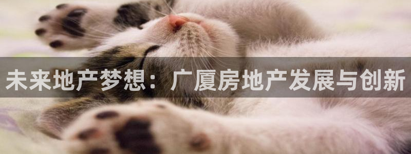 万向娱乐