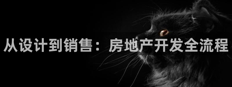 万向娱乐挂机软件