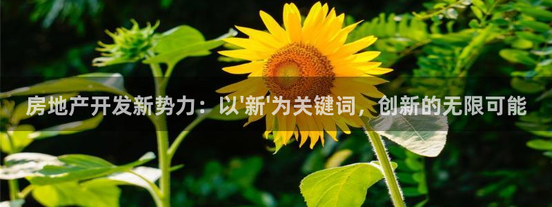 万向娱乐怎么样