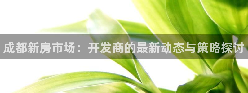 万向娱乐平台招商骗局
