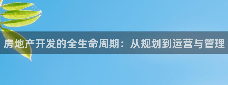万向娱乐老板