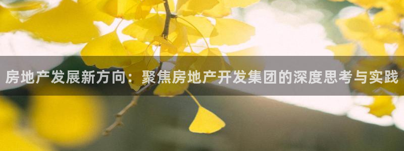 万向娱乐老板