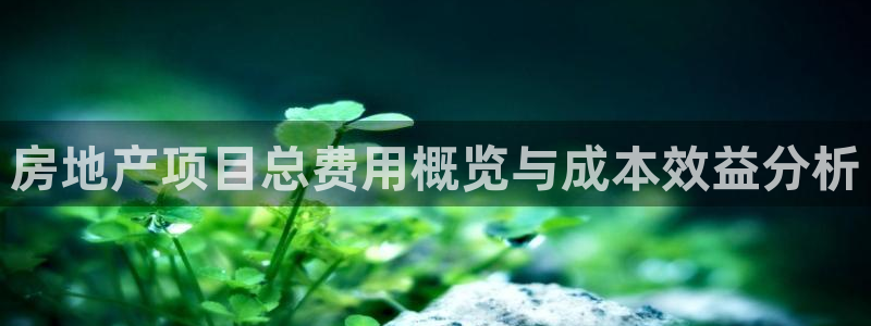万向娱乐平台代理多少钱一年