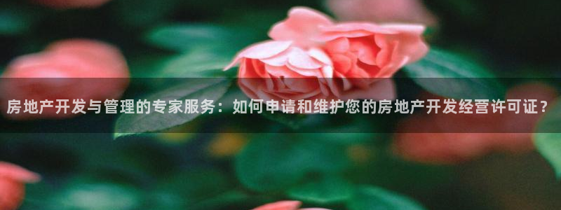 万向娱乐下载安装