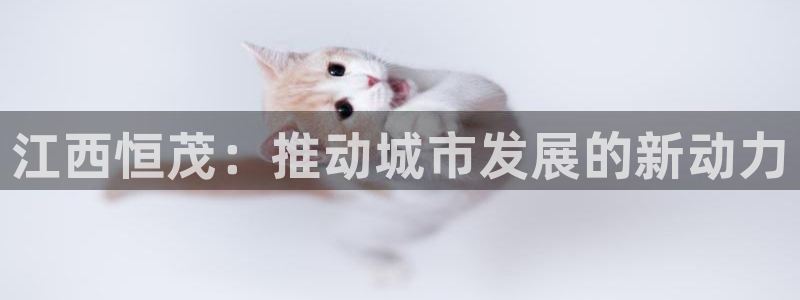 万向娱乐登陆官网入口