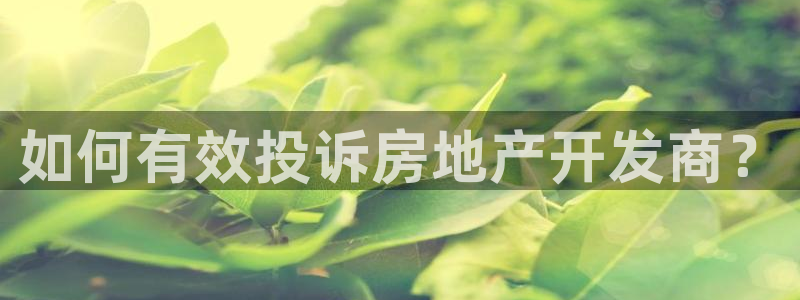 万向娱乐官网下载安装最新版
