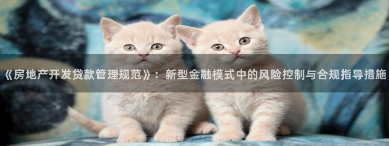 万向娱乐老板