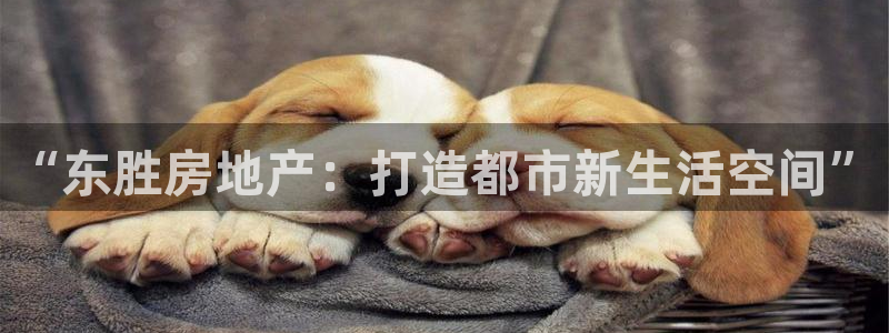 万向娱乐总代