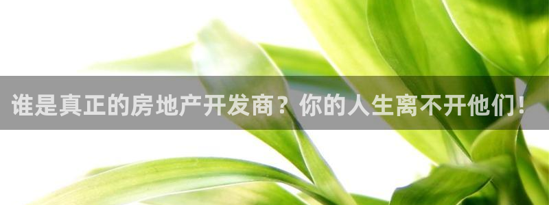 万向娱乐技术分享