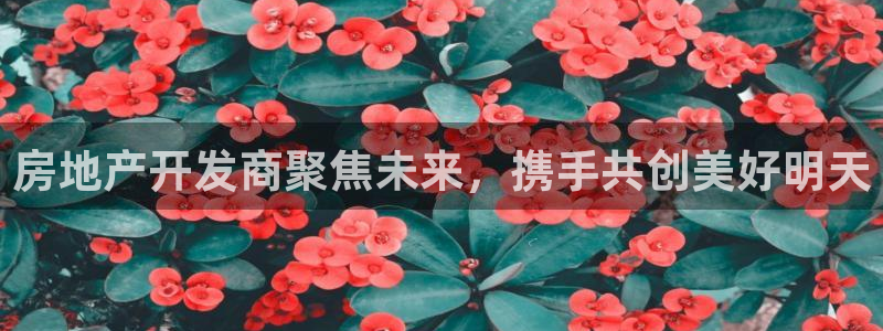 万向娱乐平台代理怎么做的